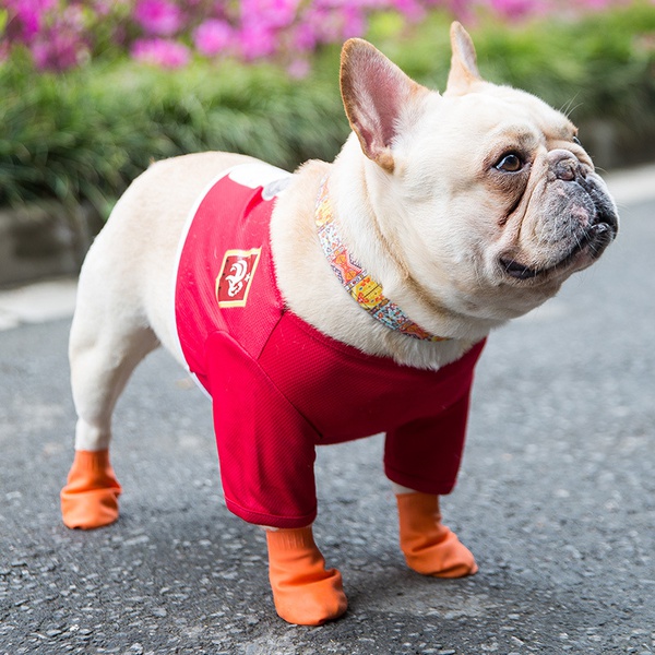 Water-Proof Dog Boot